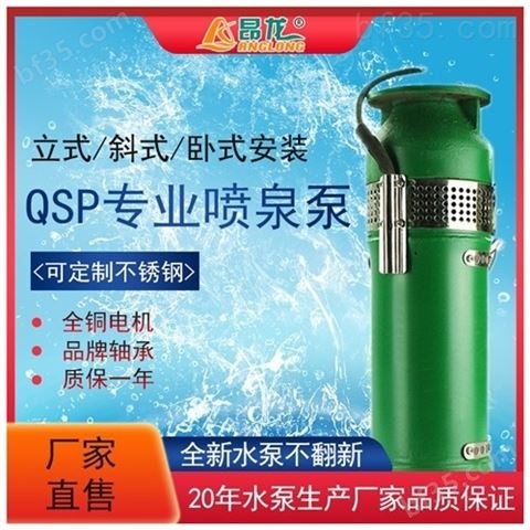 QSP喷泉水泵多级喷泉潜水泵铸铁